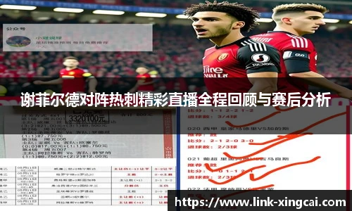 谢菲尔德对阵热刺精彩直播全程回顾与赛后分析